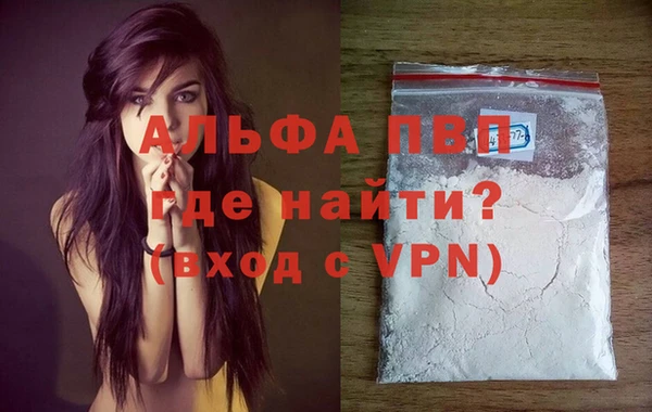 apvp Гатчина